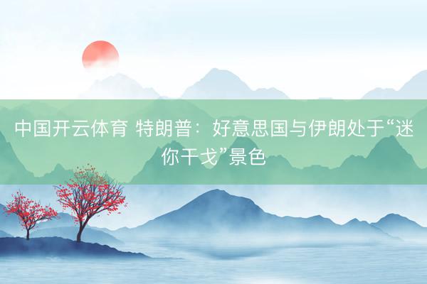 中国开云体育 特朗普：好意思国与伊朗处于“迷你干戈”景色