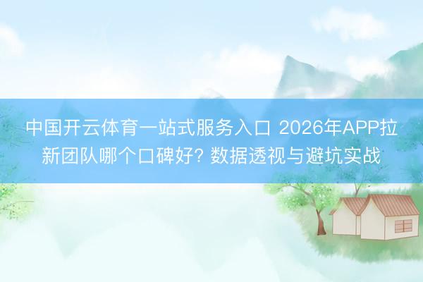 中国开云体育一站式服务入口 2026年APP拉新团队哪个口碑好? 数据透视与避坑实战