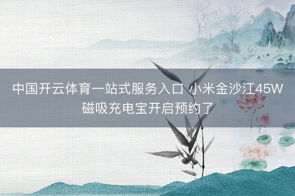 中国开云体育一站式服务入口 小米金沙江45W磁吸充电宝开启预约了