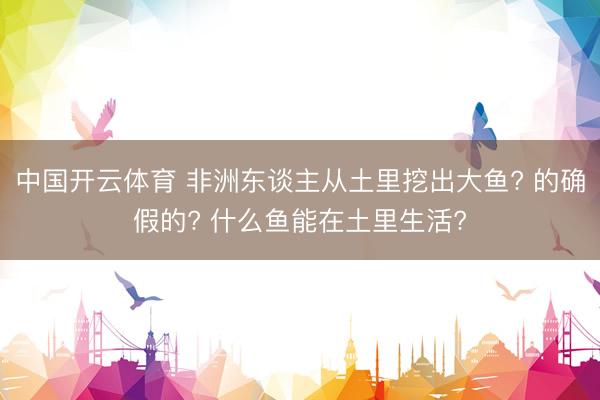 中国开云体育 非洲东谈主从土里挖出大鱼? 的确假的? 什么鱼能在土里生活?
