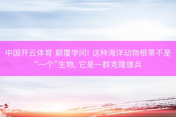 中国开云体育 颠覆学问! 这种海洋动物根蒂不是“一个”生物， 它是一群克隆雄兵