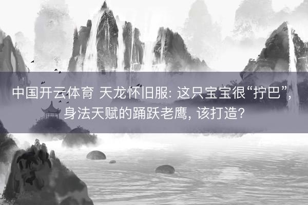 中国开云体育 天龙怀旧服: 这只宝宝很“拧巴”， 身法天赋的踊跃老鹰， 该打造?