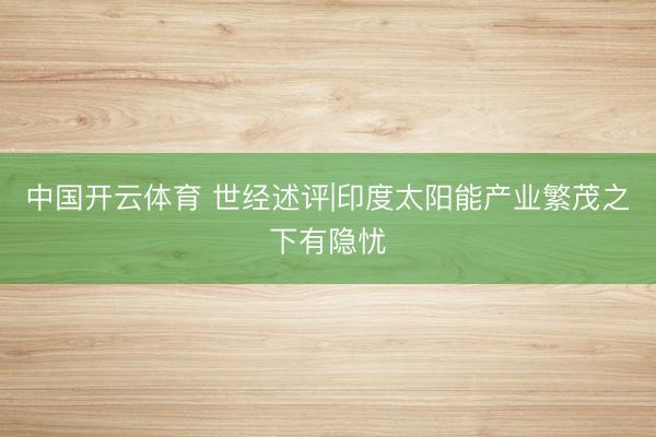 中国开云体育 世经述评|印度太阳能产业繁茂之下有隐忧