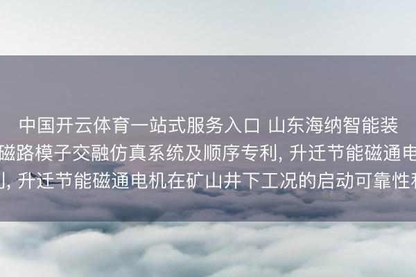 中国开云体育一站式服务入口 山东海纳智能装备肯求节能磁通电机磁路模子交融仿真系统及顺序专利， 升迁节能磁通电机在矿山井下工况的启动可靠性和能效