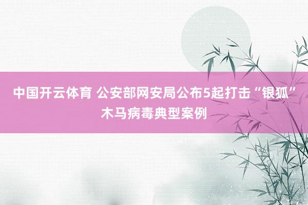 中国开云体育 公安部网安局公布5起打击“银狐”木马病毒典型案例