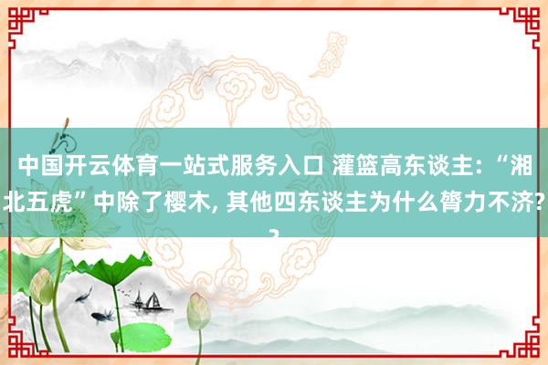 中国开云体育一站式服务入口 灌篮高东谈主: “湘北五虎”中除了樱木， 其他四东谈主为什么膂力不济?